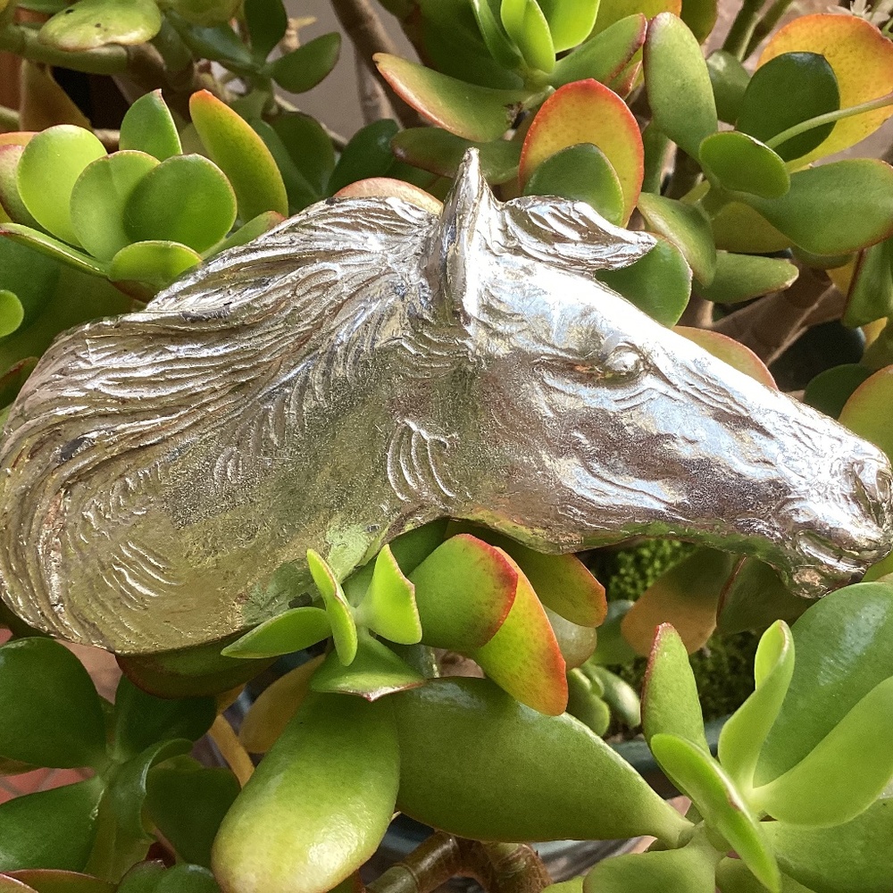 Vintage Outstanding Metal Statement Sized Horse Head Belt Buckle/Scarf Slide